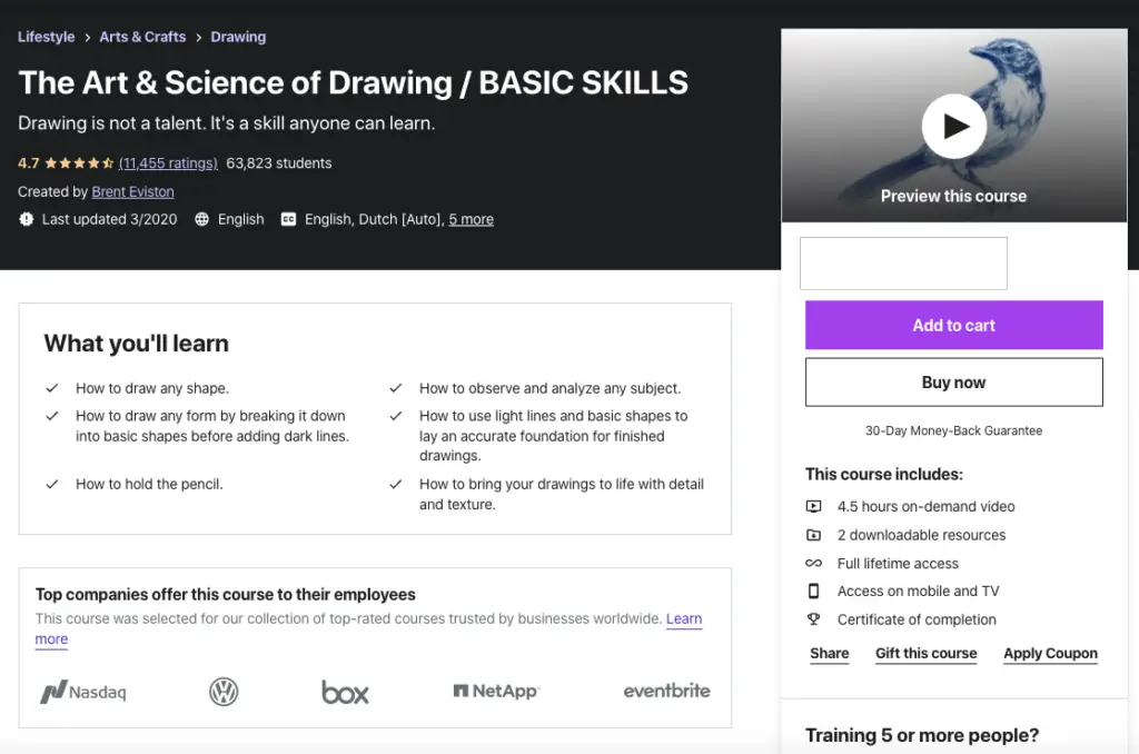 Art-and-science-of-drawing