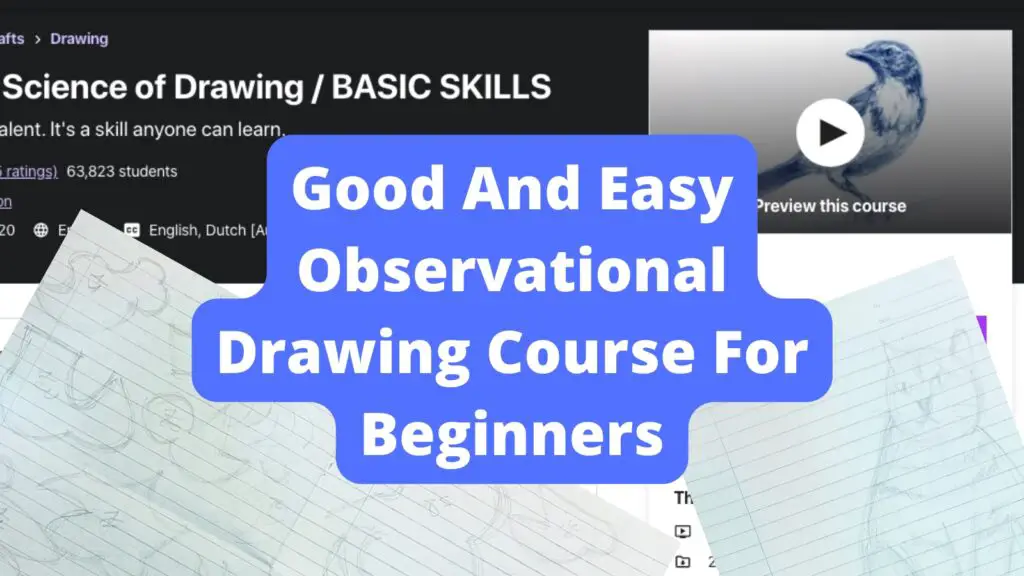Good And Easy Observational Drawing Course For Beginners