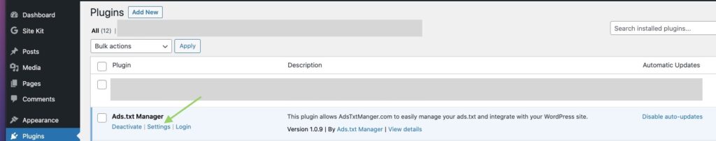 Adstxt Manager WordPress settings
