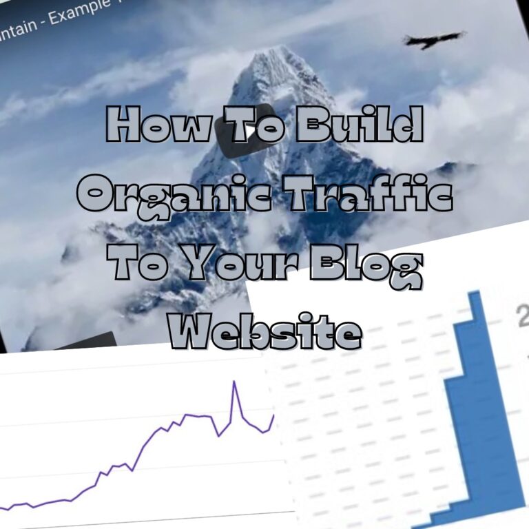 How To Build Organic Traffic To Your Blog Website