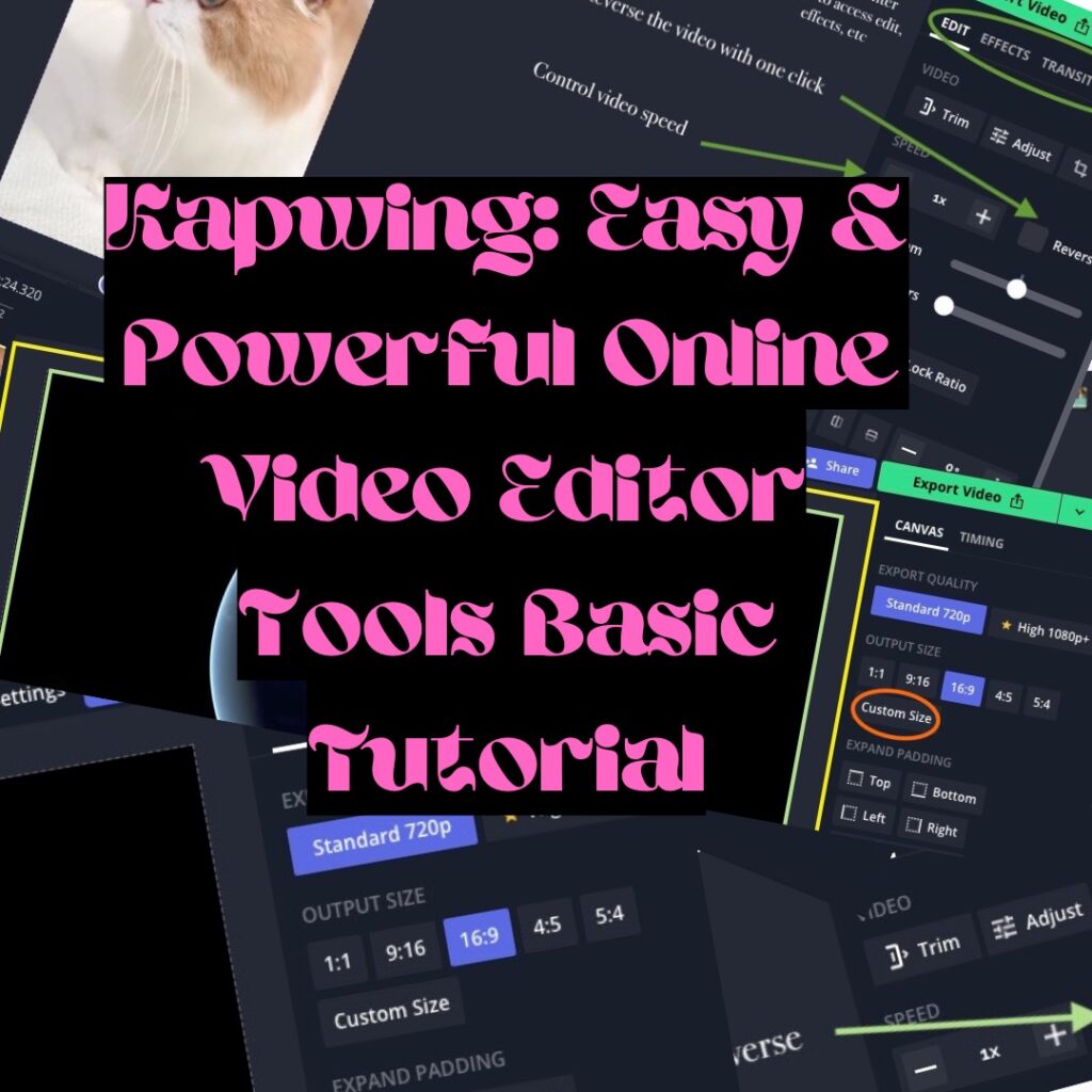Kapwing Easy Powerful Online Video Editor Tools Basic Tutorial