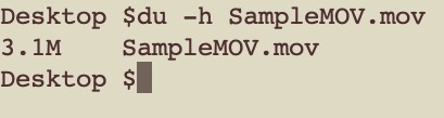 Sample MOV file size